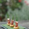 Tarallo Cooking and More